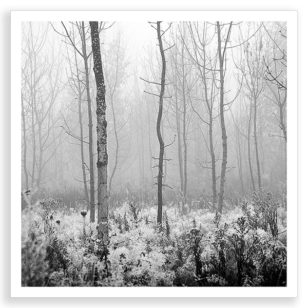 Misty Recession