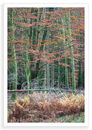 November, No.12