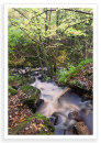 Padley Downfall