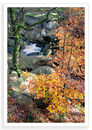 Padley 1