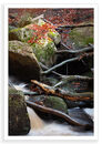 Padley 3
