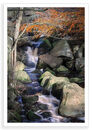 Padley 4