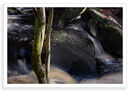Padley 5