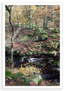 Padley 7