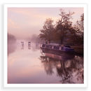 Pink Weir 2