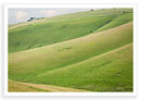 Ridgeway Waves