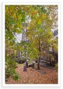 Autumn, St Peter's