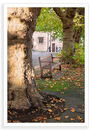 St Helen's Autumn