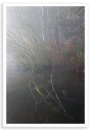 Thrupp Mist