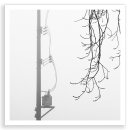 Winter Echo