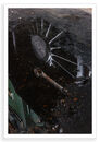 Wheel Cast