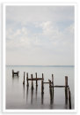 Solent Out