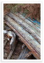 Cove Wreck