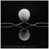 1 EGG STATIC by Jennifer Lane