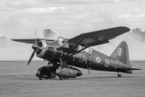 Westland Lysander