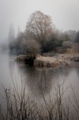Across the frozen lake