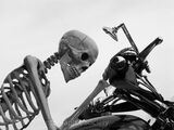 2 DEATH RIDER by Mike Curtis
