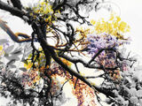 2 DREAMING OF SPRING by Tania Murray