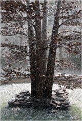 Downpour