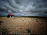 3 Alone by Tania Murray