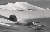 3 DEATH VALLEY by Patricia Begley