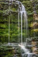 Mossy falls in the dales
