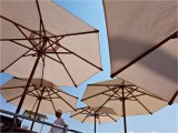 Parasols