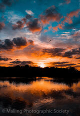 3 PRETTY SKY by Lucy Shaw