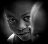 3 SHY by Lynne Overett