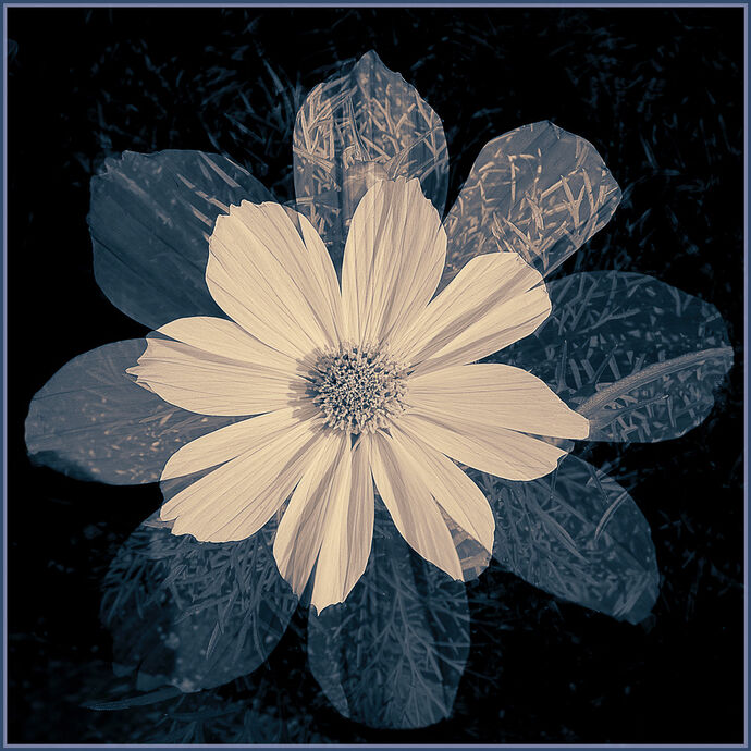 Double Exposure by Les Welton