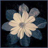 Double Exposure by Les Welton