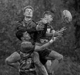 EZ7A6459-Edit-2-Edit-Edit copy