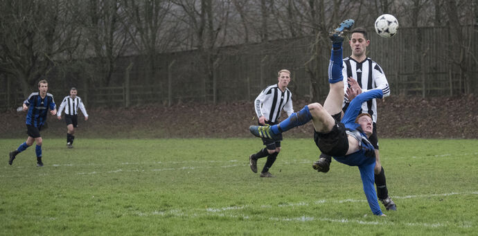 Going for Gold by John Horne