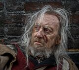 LOOKING by Linton Schwarz