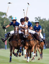Polo - ride off onto the line by Bev Mason