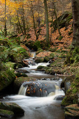 WYMING BROOK by Paul Davison LRPS CPAGB