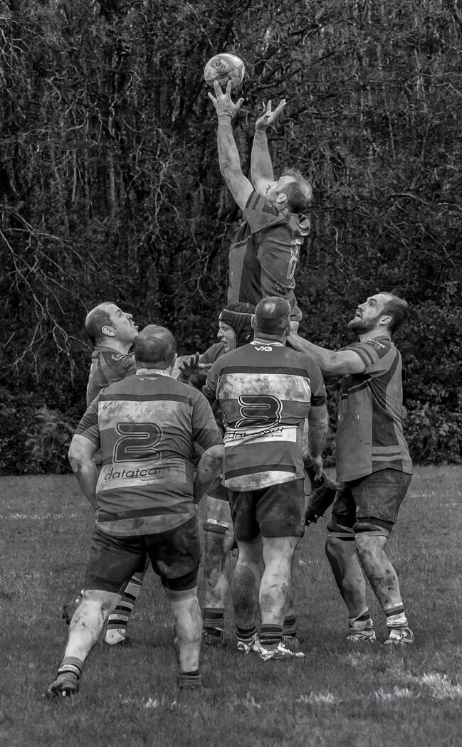 received 1923864558533116