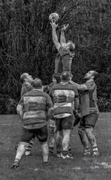 received 1923864558533116