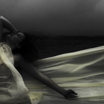 Ella Rose yellow veile