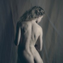 Yellow vail 2400 (awarded)