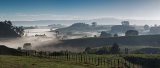 Waikato morning