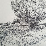 Summer walk, Lockerbie. Contemporary Scottish landscape drawing. Pen and Ink on cartridge paper by Marcer Campbell