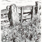 005 To a Different Watershed