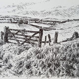 Lochside farm and Comfortland Hill. Contemporary Scottish landscape drawing. Pen and ink on cartridge paper