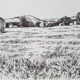 Harvest field. Dumfrieshire. Contemporary Scottish landscape drawing. Pen and ink on cartridge paper by Marcer Campbell