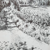 Turnmuirhill. Contemporary Scottish landscape drawing. Pen and ink on cartridge paper by Marcer Campbell