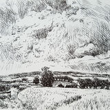 Summer view. Pip's Corner, Eskrigg. Contemporary Scottish landscape drawing. Pen and ink on paper by Marcer Campbell