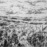 Bankend Road, Dumfries. Original contemporary Scottish landscape drawing. Pen and ink on cartridge paper by Marcer Campbell