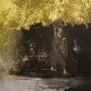 Guardian of the Musk Rose