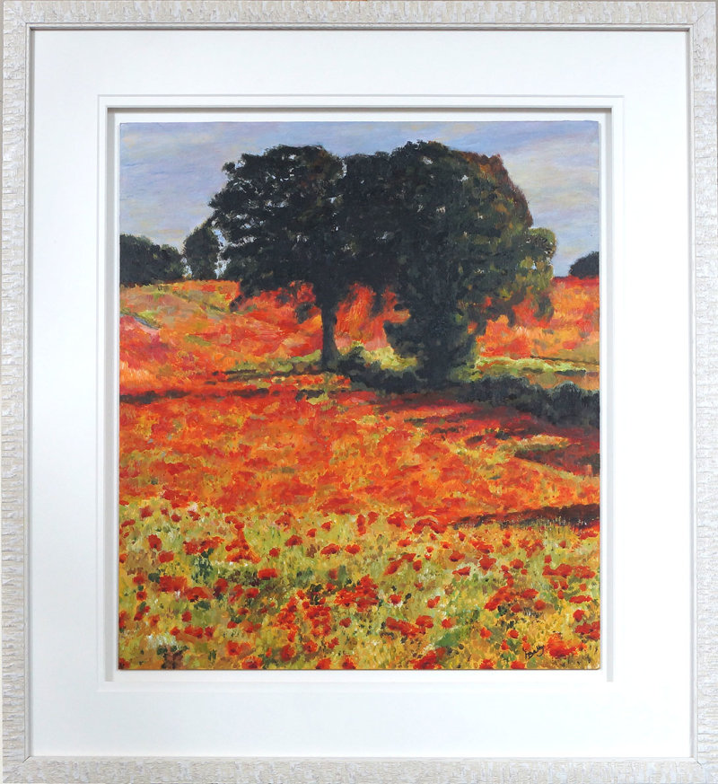 Evening Poppy Field - Web